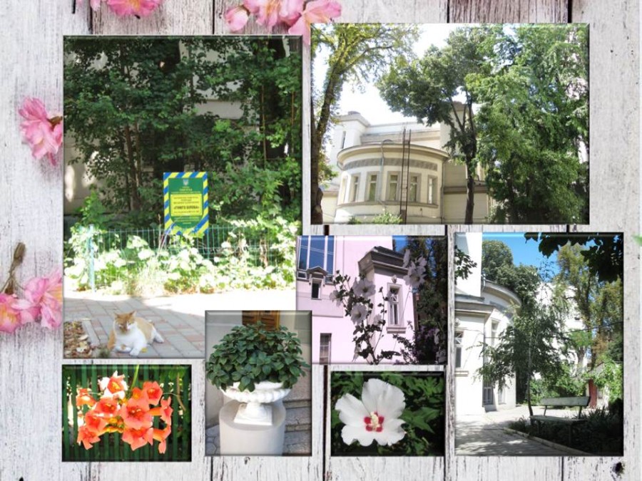 Фоторепортаж з бібліотечного дворика