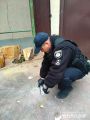 Полиция