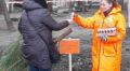 Одесити можуть отримати цукерки за новорічні ялинки