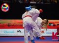 Спорт