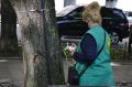 Одесские каштаны прививают от минирующей моли