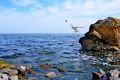 Вода на пляжах Одессы не пригодна для купания