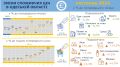 Інфляція в Одеській області: як змінилися ціни у листопаді 2024 року