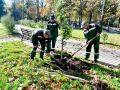 КП «Міськзелентрест» відзвітувало про роботу у 2024 році