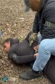 Правоохоронні органи