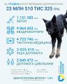Суспільство