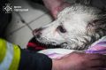 Надзвичайні ситуації