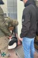 Правоохоронні органи