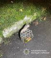 Правоохоронні органи