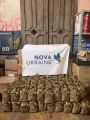 Суспільство
