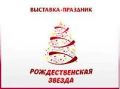 Третья Благотворительная Дипломатическая ярмарка Третья Благотворительная Дипломатическая ярмарка